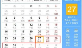 春节重庆爆料最新消息,最新爆料揭秘年味十足的城市盛况